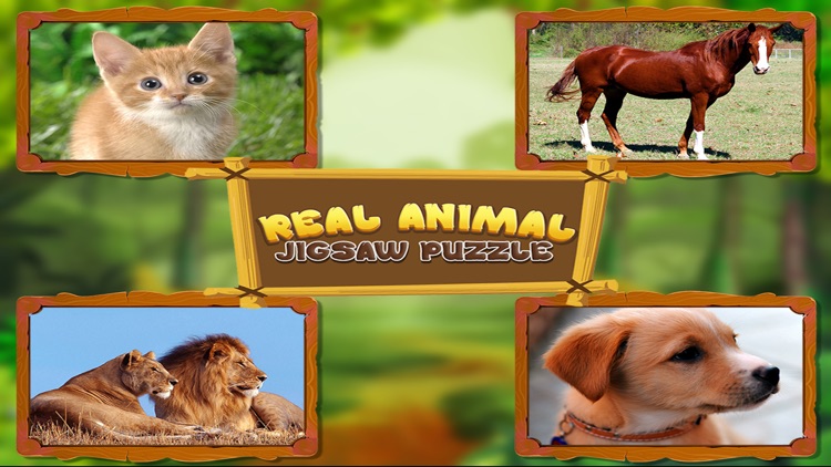 Animal Jigsaw Puzzles : puppy & cat puzzles