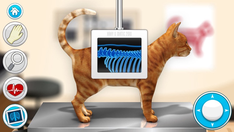 Pet Vet Doctor Cats