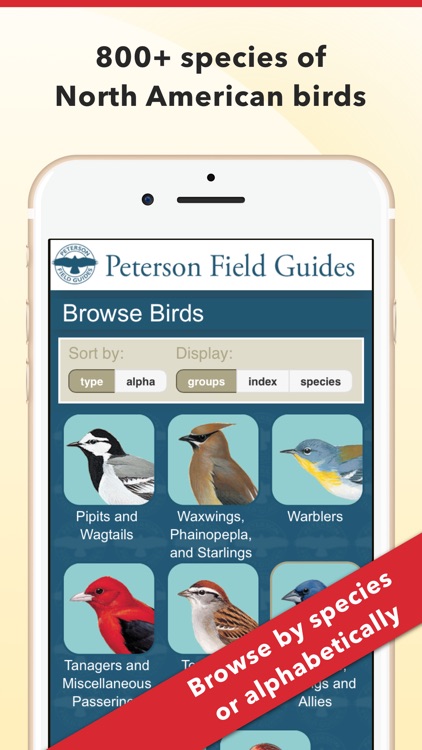 Peterson Bird Identifier & Field Guide screenshot-0