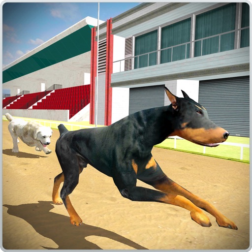 Dog Training Jump and Stunts Simulator 3D Icon