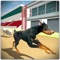 Dog Training Jump and Stunts Simulator 3D