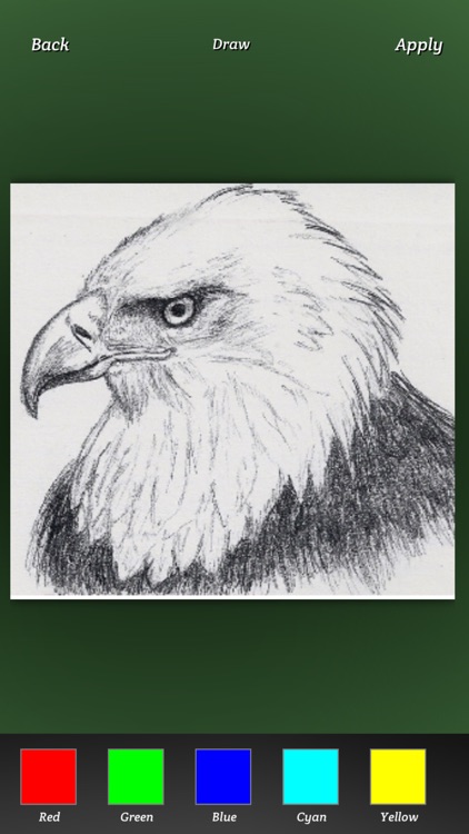 Sketch Expert screenshot-3