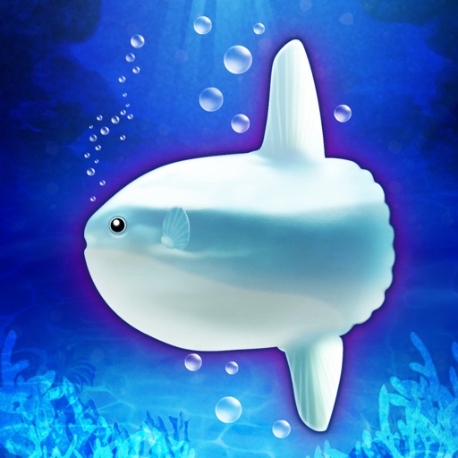 Aquarium Sunfish simulation game by tack