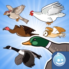 Activities of Happy Aviary Adventure - Pick your bird game!