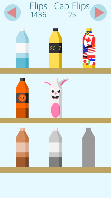Bottle Flip 2k16