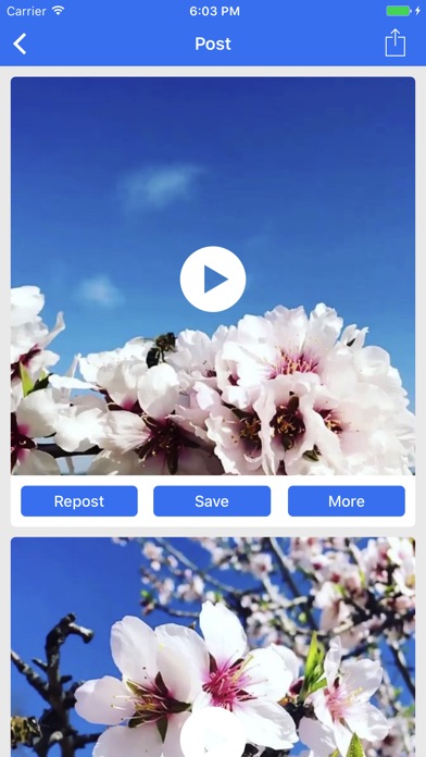 Savegram - Save Instagram Videos & Photos of Your Own to Camera Roll Screenshot 2