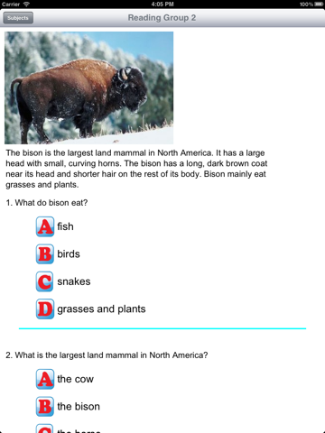 Reading Comprehension Grades 2-3 - náhled