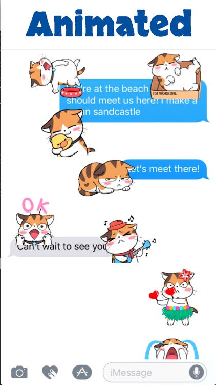Cute Meow Animated