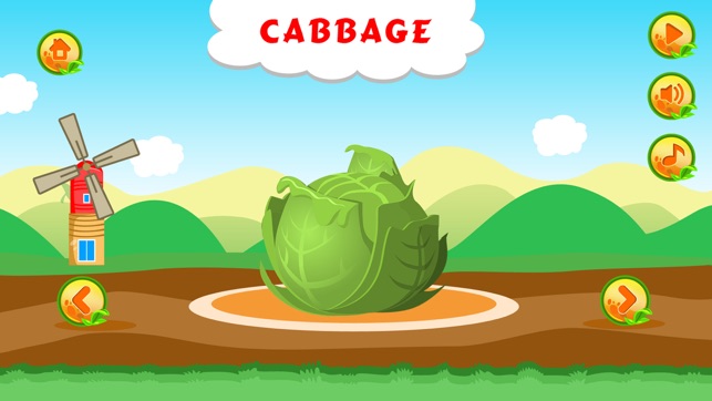 Learn about Vegetables(圖3)-速報App