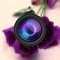 Flip Photo Editor is an awesome photo editor with photo flip vertical and horizontal customized slices