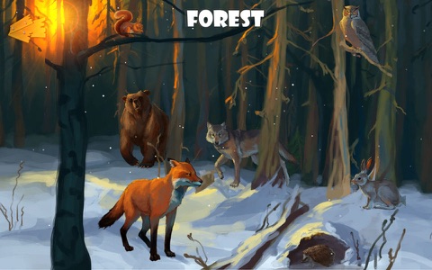 Blini Kids Animals - náhled