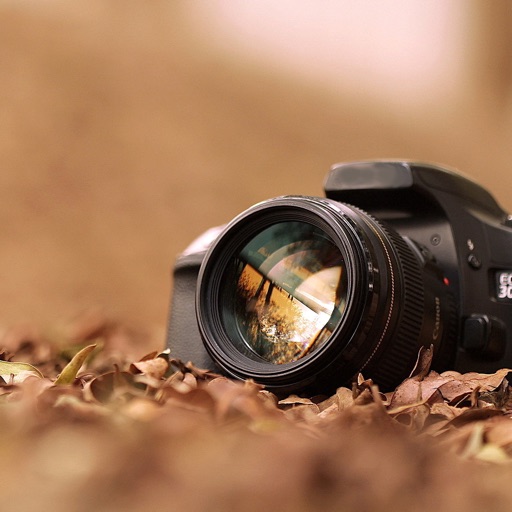 Get 摄影教程-单反相机入门人像风光摄影构图技巧 for iOS, iPhone, iPad Aso Report