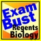 Choose from: NY REGENTS Exam JUMBLE, NY REGENTS Exam REVIEW, and NY REGENTS Exam QUIZ