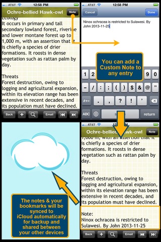 Owls Encyclopedia Plus+ screenshot 4