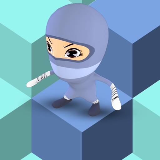Mini Ninja Block Fall Pro - cool speed run icon