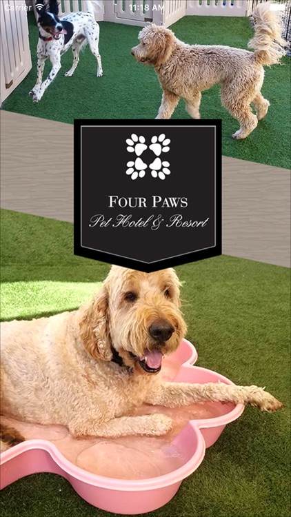 Four Paws Pet Hotel & Resort