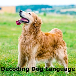 A Guide to Decoding Dog Language-How to Speak Dog