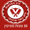 בין הצלעות