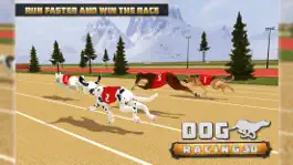 Game screenshot Dog Racing  3D apk