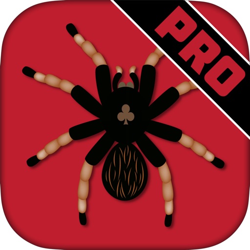 Spider Solitaire Cards Pro iOS App