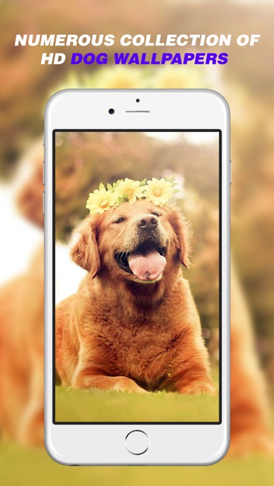 Dog Wallpapers Home Screen Themes Backgrounds App Price