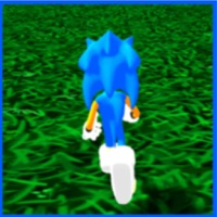 3D Hedgehog Infinite Runner