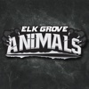 Elk Grove Animals