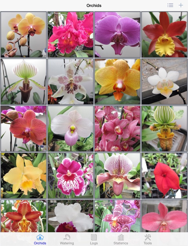 orchid album on the app store