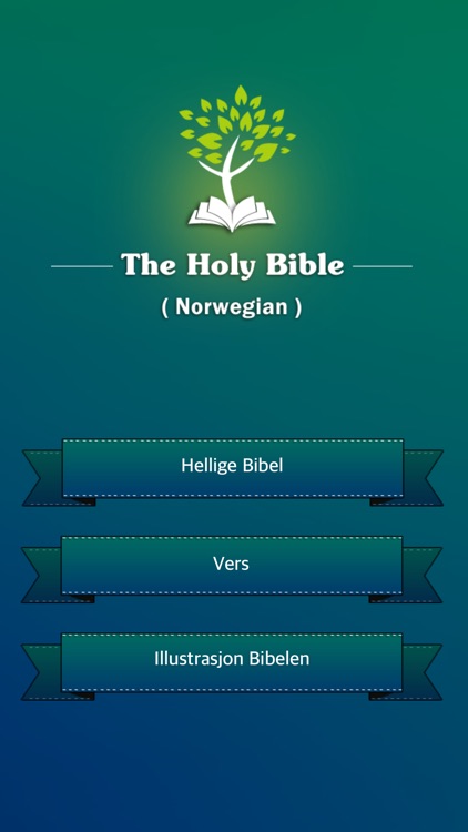 Norwegian Holy Bible with Pics
