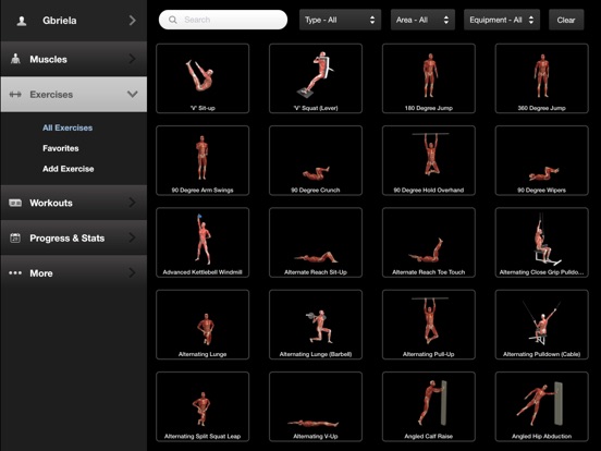 iPad Screenshot 3