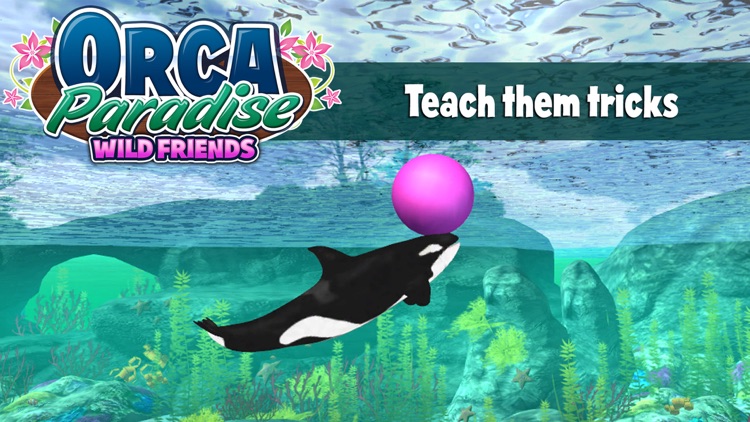 Orca Paradise: Wild Friends