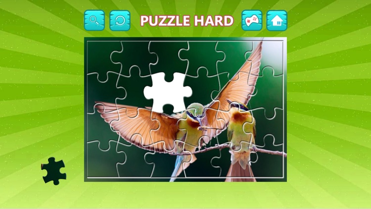 Bird Jigsaw Easy and Hard - Learn Puzzles For Kids