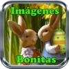 Imagenes Bonitas Con Mensajes