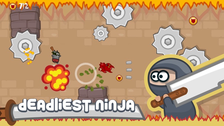 Ninja Shurican: Tiny Deadly Fighter