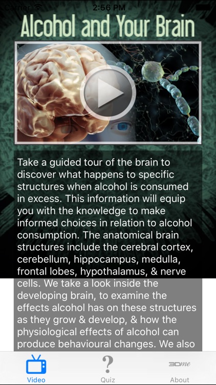 Alcohol and Your Brain