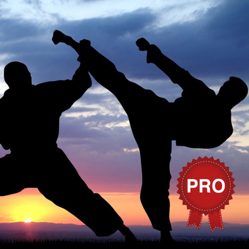 Urban Fighter Workout Challenge PRO Self Defense Icon