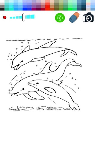 Coloring Book-Fun Painting Dolphin for Kids screenshot 2
