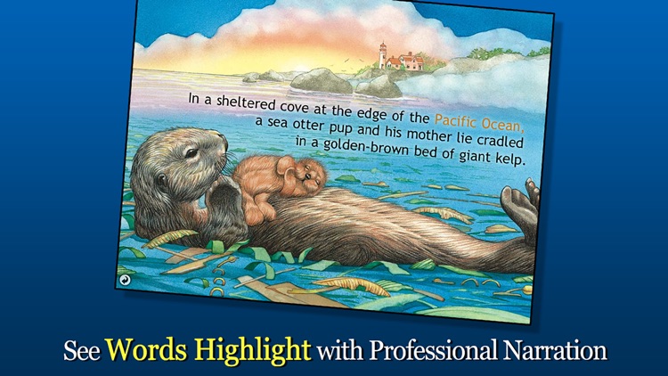Otter on His Own - Smithsonian Oceanic Collection