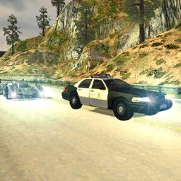 Need For Police Car Racing 3D
