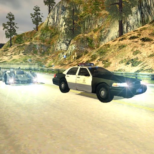 Need For Police Car Racing 3D icon