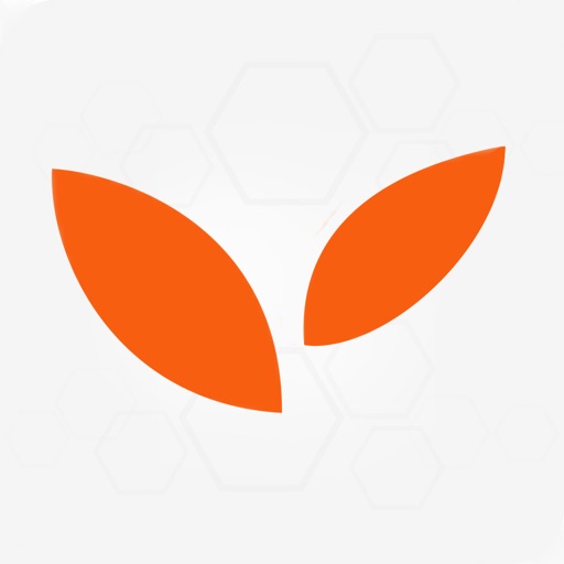 Funding Services by Lyft Capital iOS App