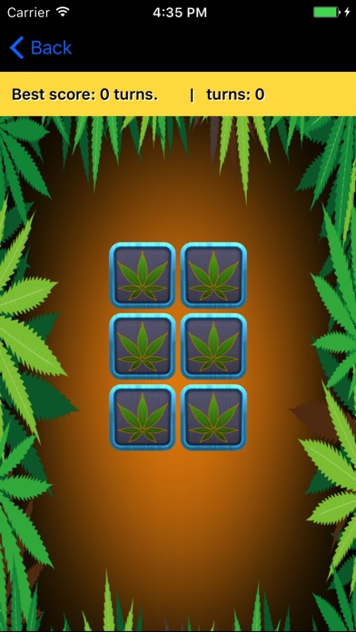 The Original 420 Match Me Game screenshot 3