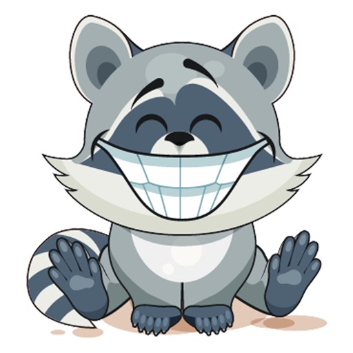 Emoji Cartoon Raccoon Cub Stickers