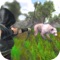 Hunter Animal Master - Arrow Shoot is now on mobile