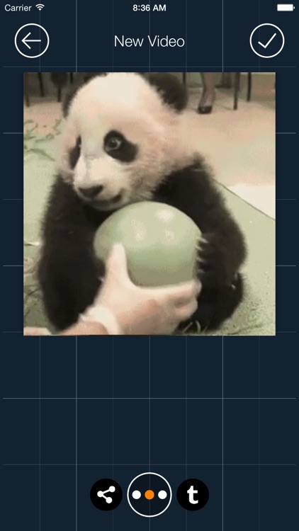 GifVid - GIF to Video Converter