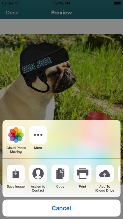San Jose Hockey Stickers & Emojis screenshot-3
