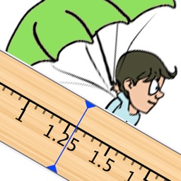 Skydive Wingload Calculator