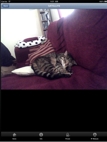 Screenshot #5 pour mobile webcam