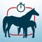 Safe Foal is perfect for horse and foal lovers and novice breeders