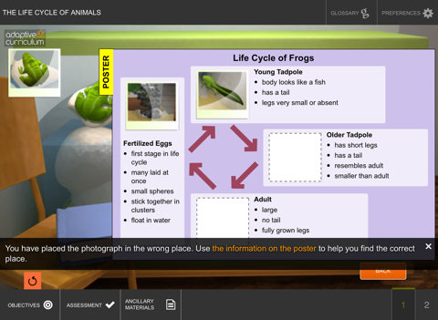 The Life Cycle of Animals screenshot 4